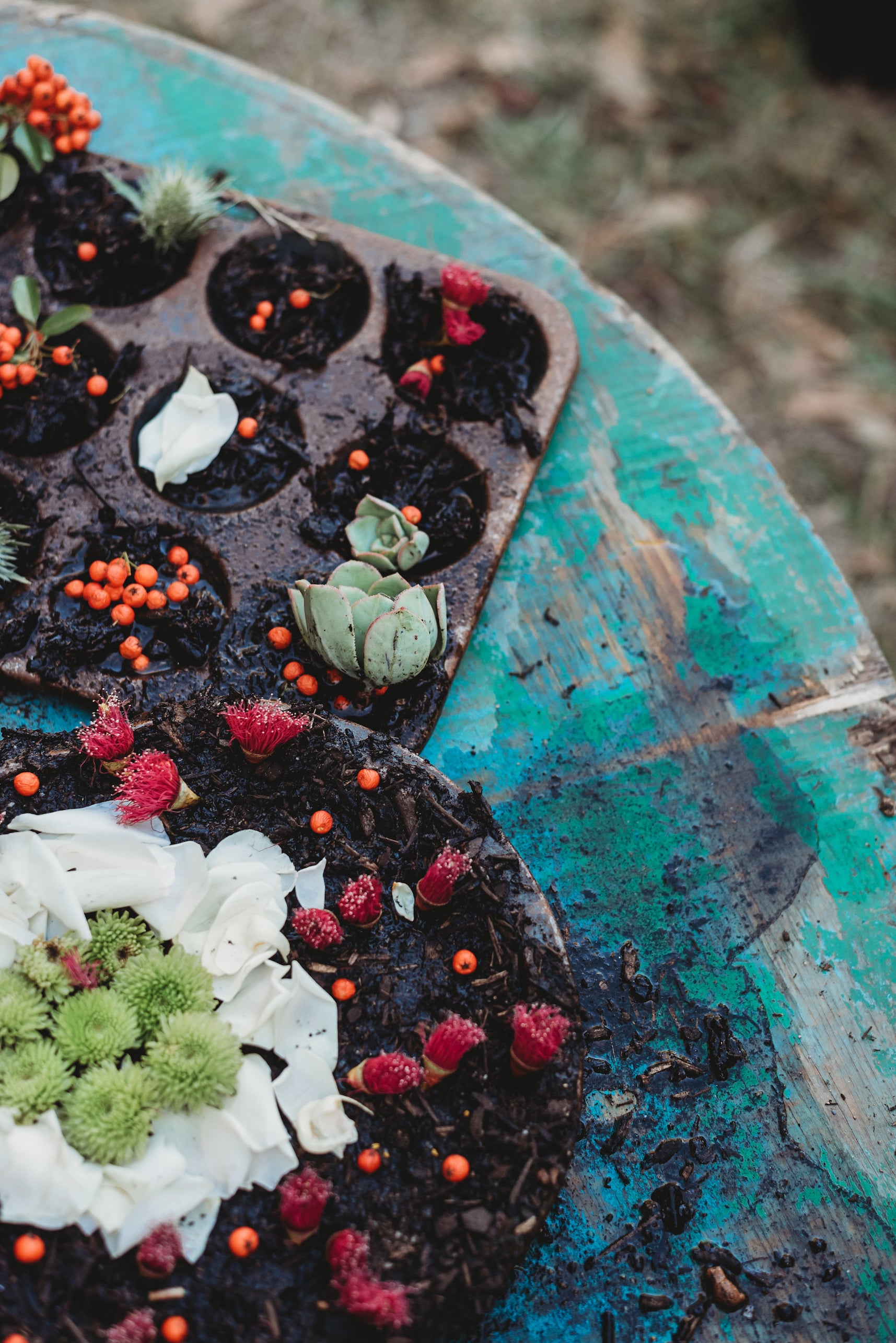 Wild Imagination Book