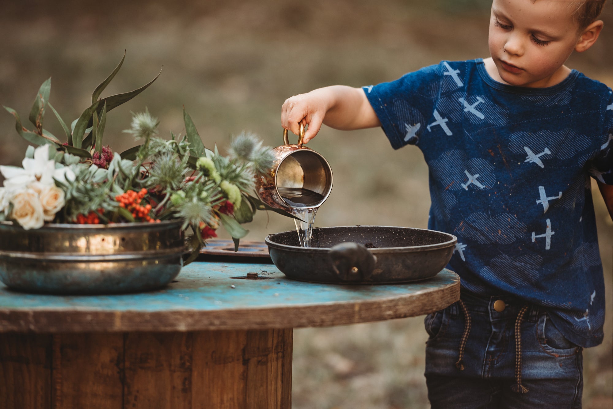 Wild Imagination Book