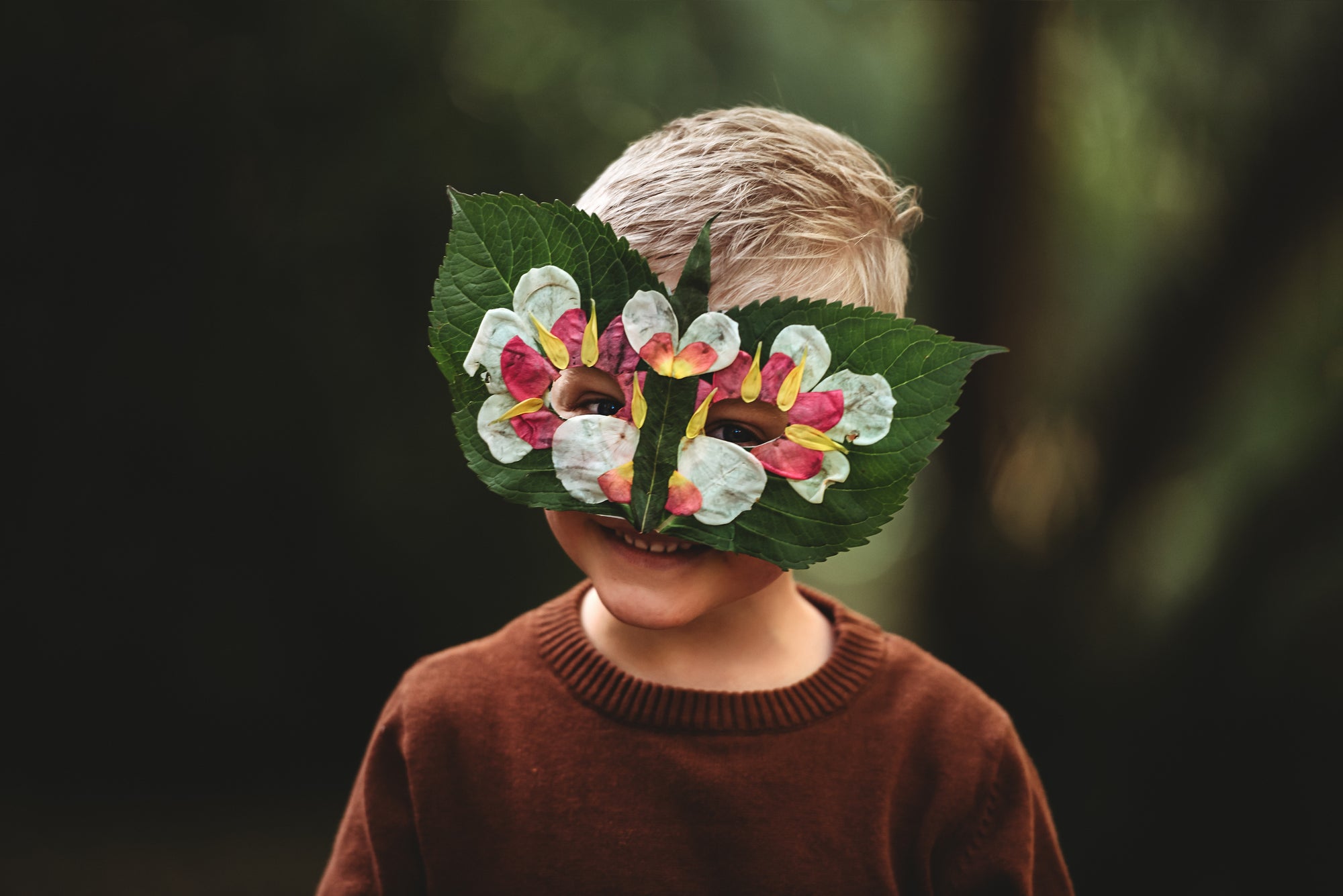 Wild Imagination Book