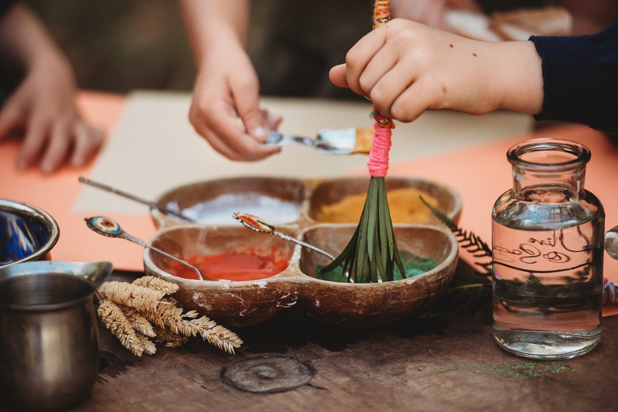 Wild Imagination Book