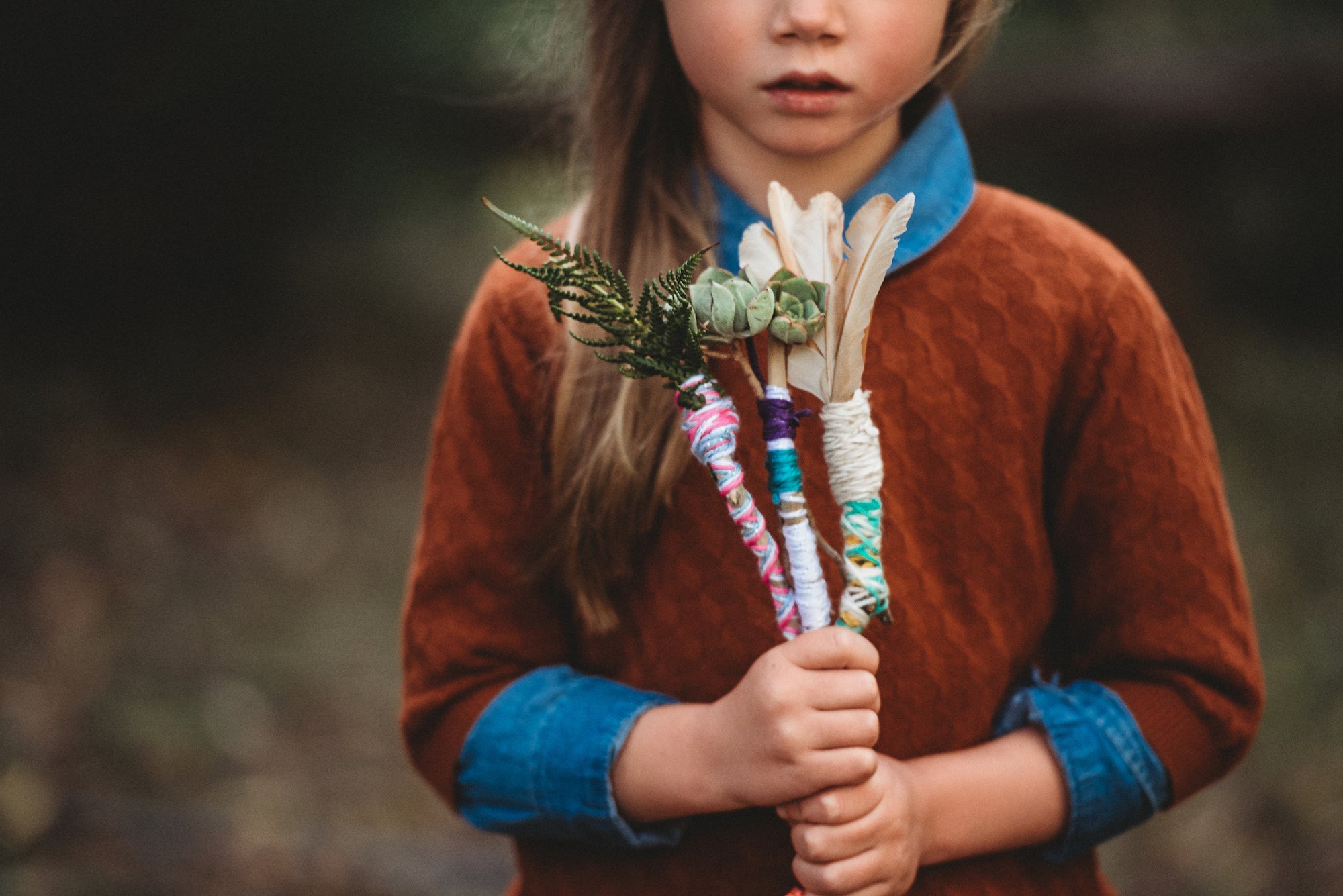 Wild Imagination Book