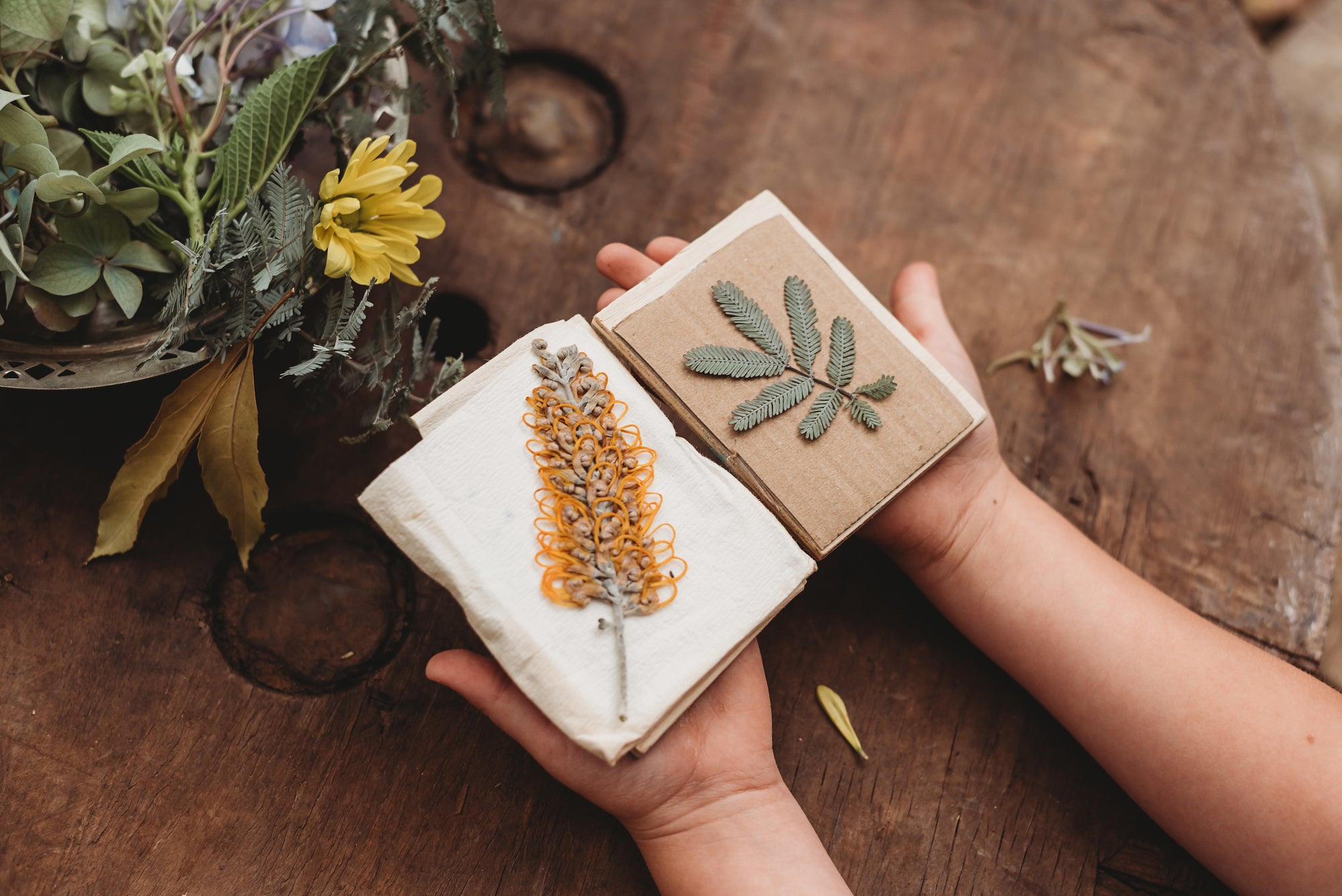 Wild Imagination Book