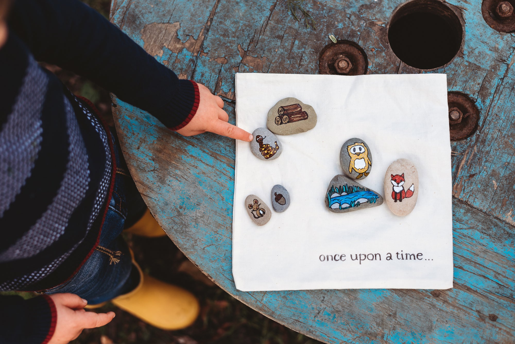 Wild Imagination Book