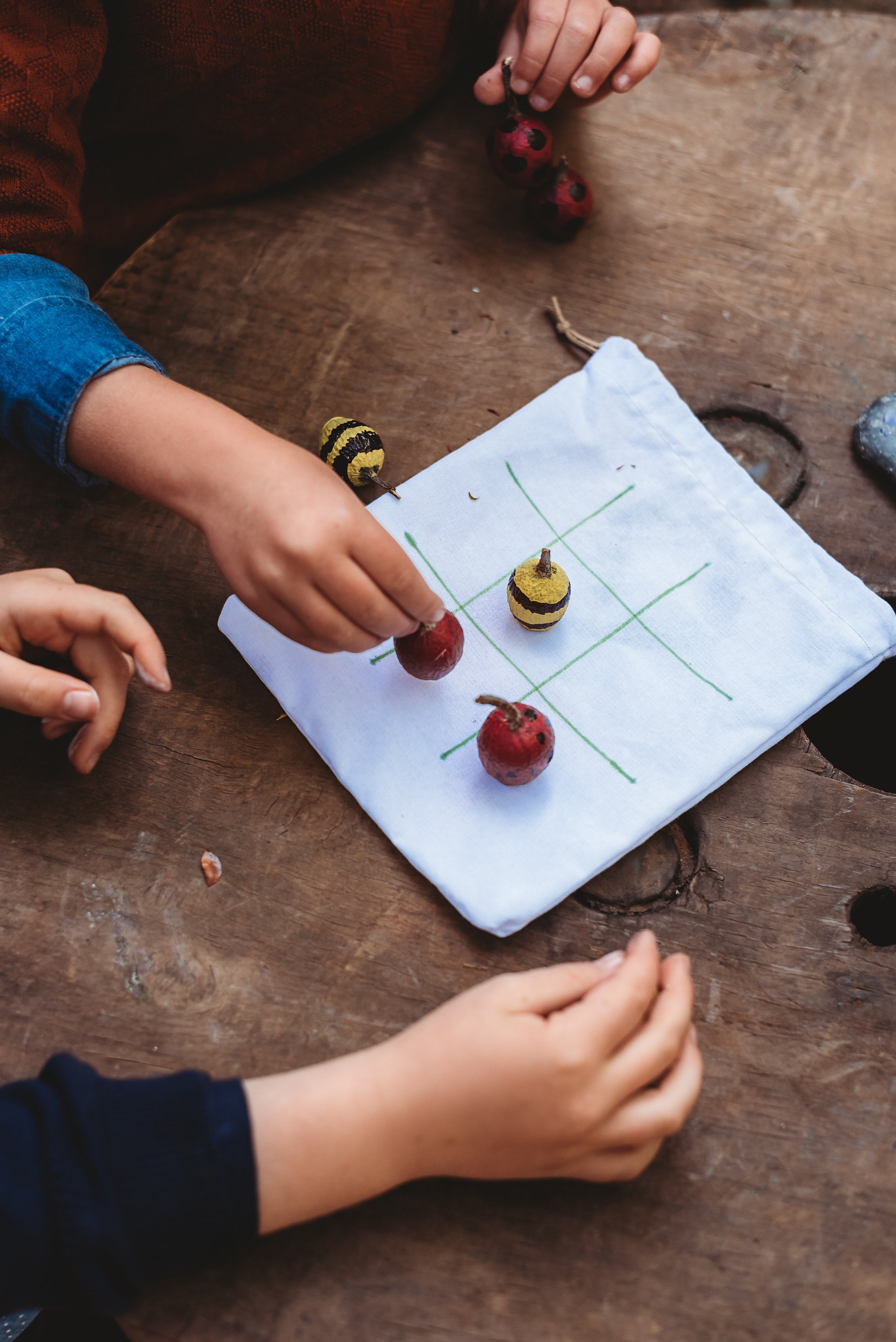 Wild Imagination Book