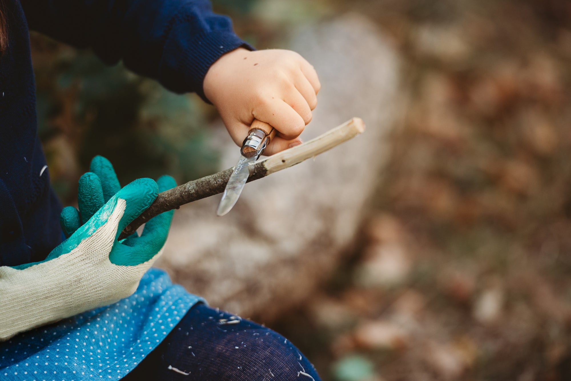 Wild Imagination Book