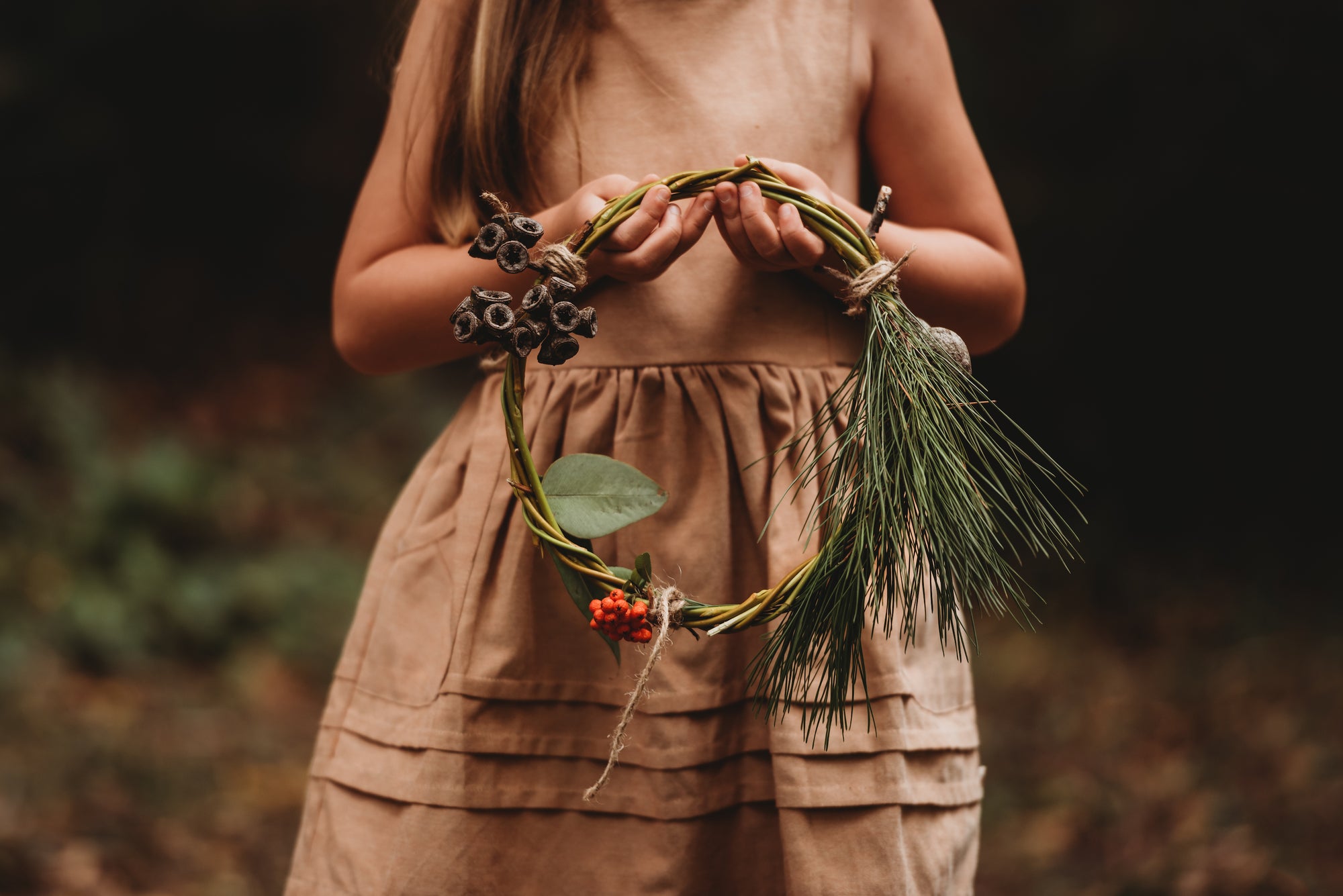 Wild Imagination Book