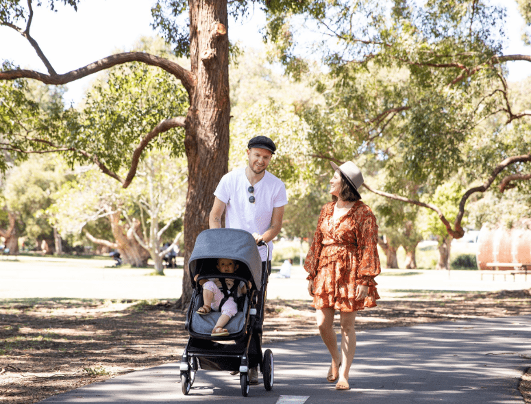 Bugaboo Lynx Complete Set